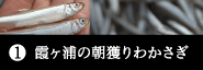 vol.1　霞ヶ浦の朝獲りわかさぎ