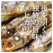 脂の乗りと柔らかさが自慢の「メヒカリ」