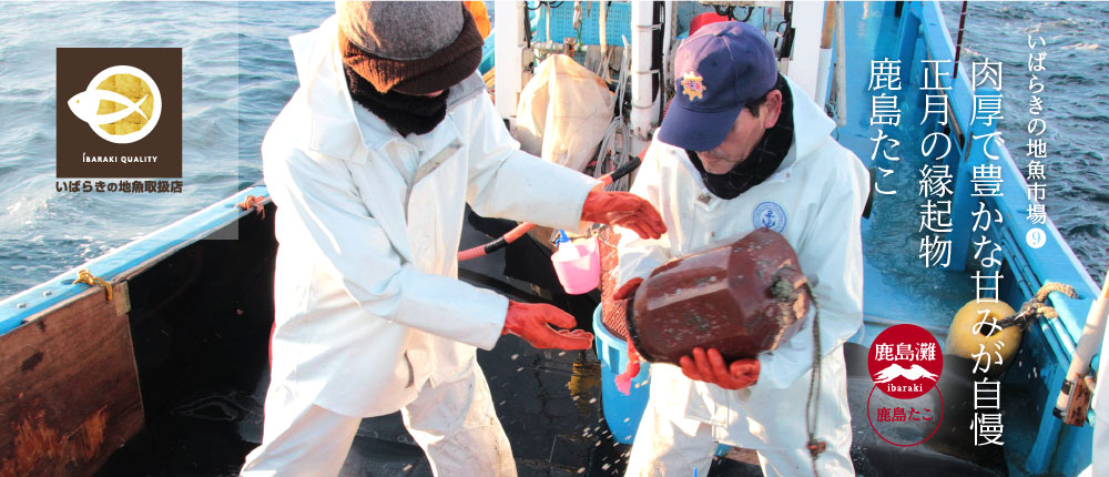 肉厚で豊かな甘みが自慢。正月の縁起物「鹿島たこ」　Webマガジンいばらきの地魚市場vol.9